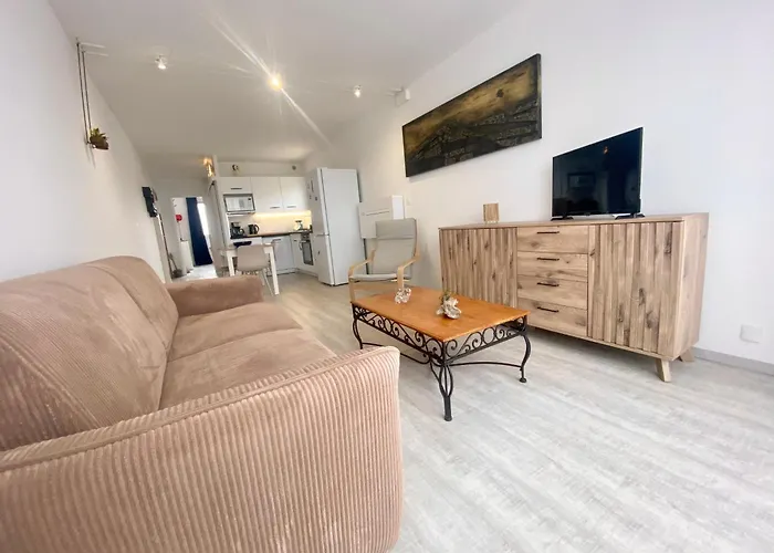 Le Boucanet - Climatise Entierement Renove Pour 4 Personnes Avec Parking Privatif * ル・グロー・デュ・ロワ